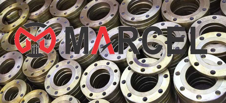 Stainless Steel Plate Flange Manufacturer in India